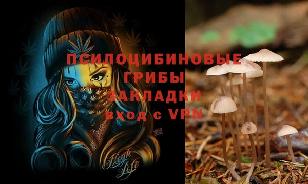 наркотики Белокуриха